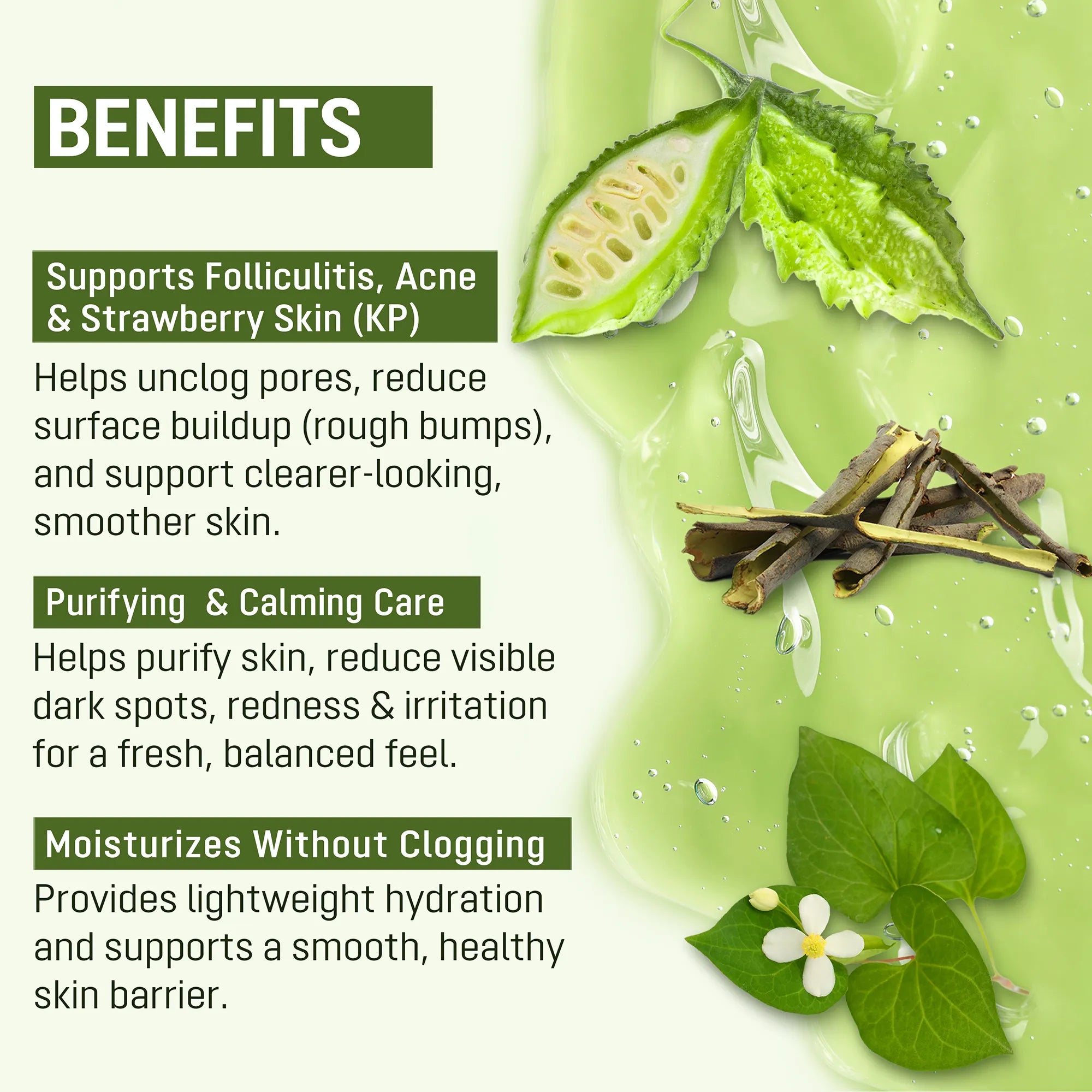 Benefits of ABERA Folliculitis Shower Gel with wild bitter melon, willow bark and heartleaf for folliculitis, acne and KP bumps.